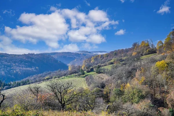 Sisli Bir Vadi Manzarası Renkli Sonbahar Renklerinde Bir Orman — Stok fotoğraf