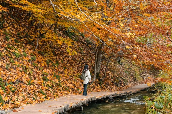 Eine Junge Frau Ufer Eines Sees Gelben Herbstwald — Stockfoto