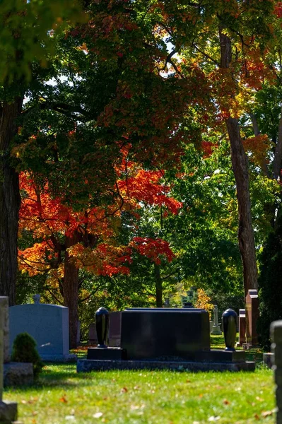 Кладбище Бичвуд Национальное Кладбище Канады Время Осеннего Сезона Цветов — стоковое фото