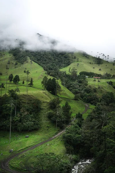 Вертикальный Вид Зеленую Долину Кокора Туманными Облаками Колумбии — стоковое фото