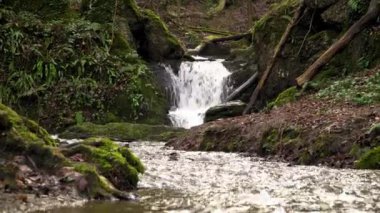 Belçika 'da bir ormanda küçük bir şelale. Çekilen el bilgisayarı.