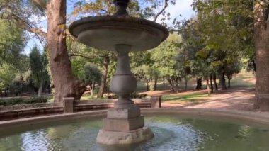 Roma 'daki Villa Borghese Garden' da güzel bir havuz manzarası.