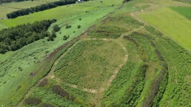 Güzel yeşil bir manzaranın havadan görünüşü