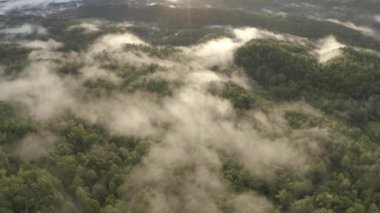 Gatlinburg, ABD 'deki güzel bir ormanın insansız hava aracı görüntüsü.