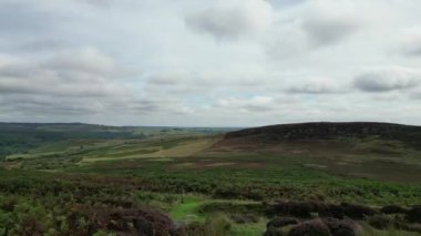 İnek maskeli bir adam elinde uzaktan kumandalı bir dron ile güzel bir manzara sunuyor.