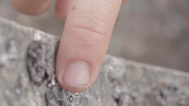 通常の映像で灰色の岩に触れる男性の指の閉鎖 — ストック動画