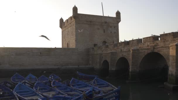 Pemandangan Udara Skala Essaouira — Stok Video