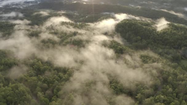 Ένα Drone Άποψη Ενός Όμορφου Δάσους Στο Gatlinburg Ηπα — Αρχείο Βίντεο