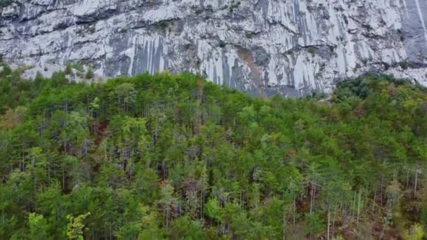 Uma Vista Drone Árvores Florestais Com Uma Colina Rochosa Trentino — Vídeo de Stock
