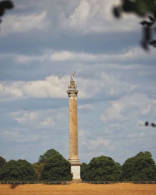 Mavi gökyüzüne karşı yemyeşil ağaçlarla çevrili Blenheim Park 'taki Zafer Sütununun dikey çekimi