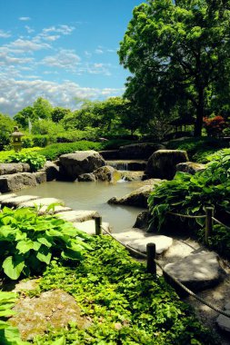 Augsburg Botanik Bahçesi 'nde yeşil ağaçların ve bitkilerin olduğu güzel bir nehir manzarası.