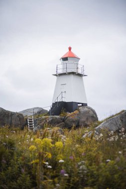 Bulutlu bir günde kayalık sahilde bir deniz fenerinin dikey görüntüsü.