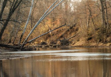 Indianapolis 'in kuzeyindeki bir parkta sonbaharda White River' ın güzel bir resmi.