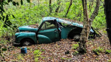 Terk edilmiş Morris gezgini İngiliz ormanlarında çürümeye terk edilmiş.