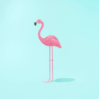 Pastel mavi arka planda izole edilmiş 3 boyutlu pembe flamingo - yaz ya da Karayip konsepti