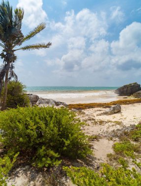 Meksika 'daki Tulum harabelerinin sahili..