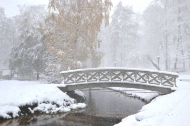 Sisli bir günde köprüsü, toprağı ve ağaçlarıyla kaplı pitoresk bir kış bahçesi.