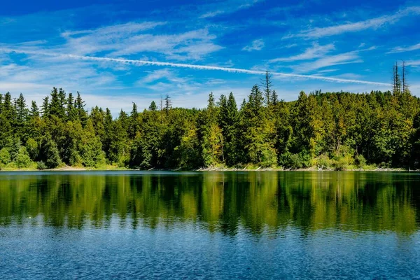 Eine Malerische Aufnahme Eines Sees Der Von Bäumen Umgeben Ist — Stockfoto