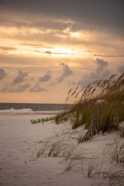 Sebuah Gambar Vertikal Rumput Pantai Dengan Latar Belakang Matahari Terbenam — Stok Foto