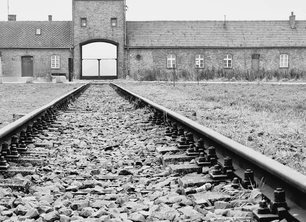 Disparo Escala Grises Vieja Vía Férrea Vacía Campo Concentración Auschwitz —  Fotos de Stock