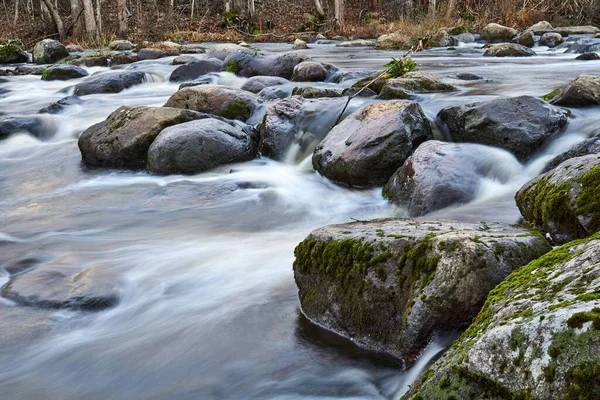 Primer Plano Río Que Fluye Bosque — Foto de Stock