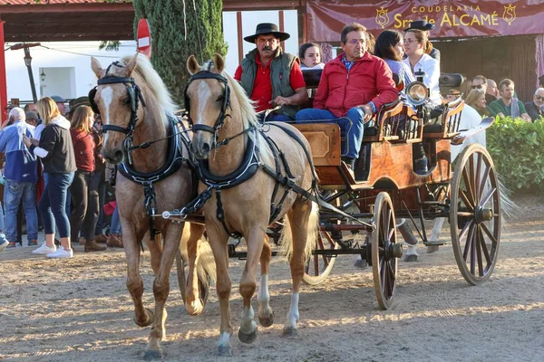 Front Närbild Två Hästar Med Trävagn National Horse Fair Människor — Stockfoto