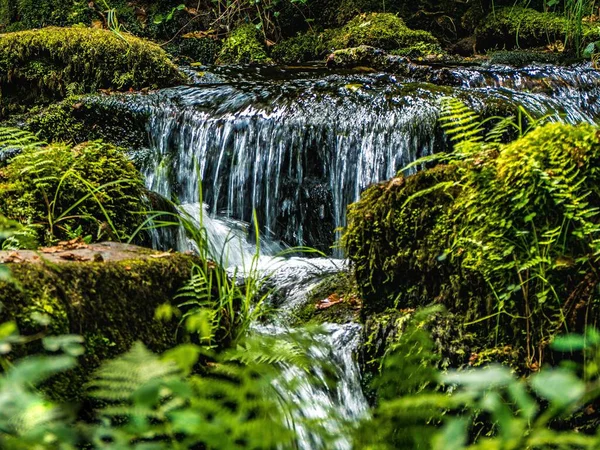 Прекрасный Каскад Воды Окруженный Зелеными Растениями Весной — стоковое фото