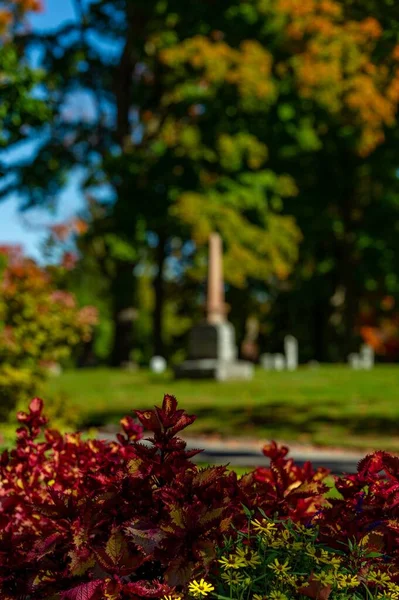 Beechwood Cemetery Εθνικό Νεκροταφείο Του Καναδά Κατά Διάρκεια Της Φθινοπωρινής — Φωτογραφία Αρχείου