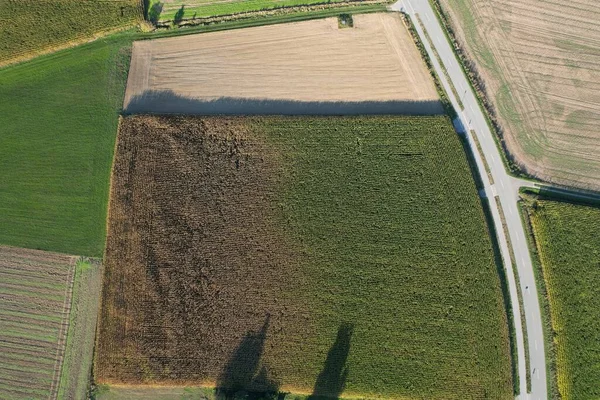 Légi Kilátás Zöld Mezőgazdasági Területek Betakarításra Kész Növények Egy Napsütéses — Stock Fotó