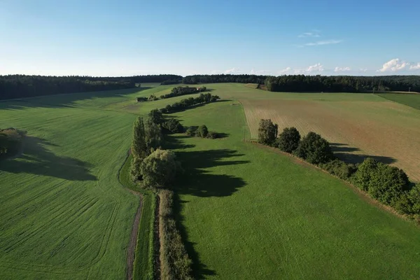 Vzdušný Pohled Zemědělská Pole Zelené Stromy Slunečného Dne Modrou Oblohou — Stock fotografie
