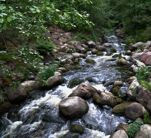 Rzeka Przepływająca Przez Las — Zdjęcie stockowe