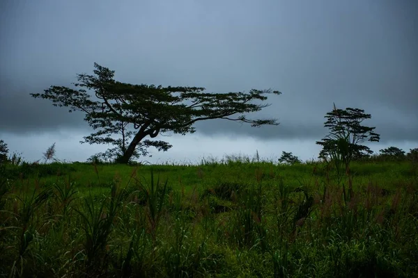 Uma Paisagem Natural Sob Céu Nublado — Fotografia de Stock