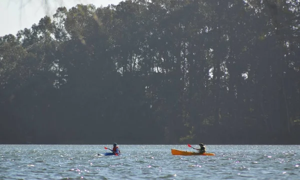 Primer Plano Dos Kayakistas Remando Kayaks Río Tranquilo Con Bosque — Foto de Stock