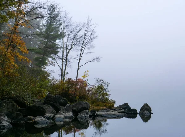 Мальовничий Знімок Озера Оточеного Деревами Скелями Туманний День — стокове фото