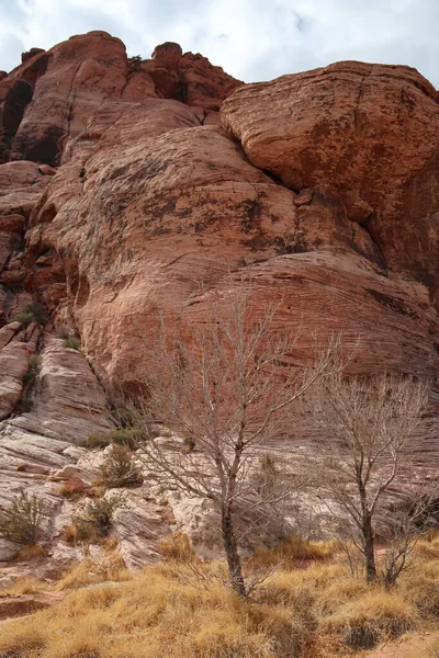 Vertical Shot Red Rock Canyon State Park Las Vegas Nevada — Stock Photo, Image