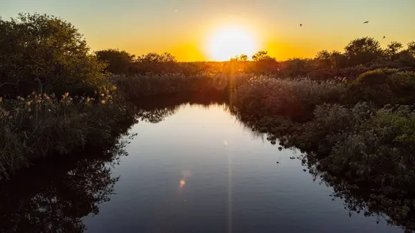 Eine Landschaft Sonnenuntergang Szene Über Waldbäumen Rund Blauen Teich Wasser — Stockfoto