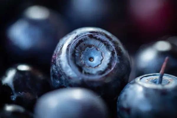在一堆蓝莓上的特写 — 图库照片