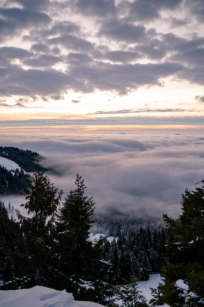 Мальовничий Вертикальний Знімок Лісу Засніженій Горі Хмарах — стокове фото
