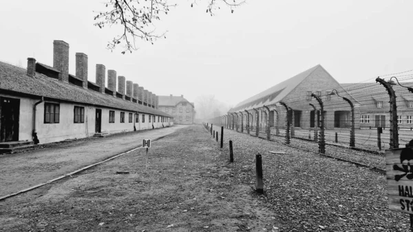Sonbahar Boyunca Auschwitz Toplama Kampındaki Boş Yolun Gri Tonlu Bir — Stok fotoğraf