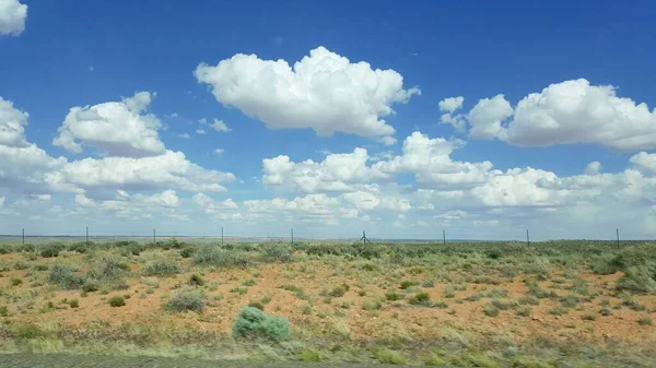 Πεδίο Πράσινα Φυτά Κάτω Από Έναν Γαλάζιο Ουρανό Άσπρα Σύννεφα — Φωτογραφία Αρχείου