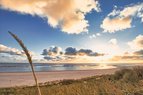 Büyüleyici Bir Sahil Ufka Uzanan Parlak Güneş Işığı Altında Bir — Stok fotoğraf