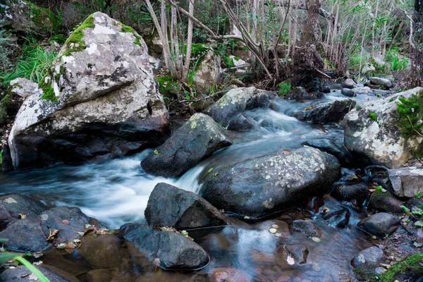 Krásný Záběr Malý Vodopád Řeky Lese — Stock fotografie