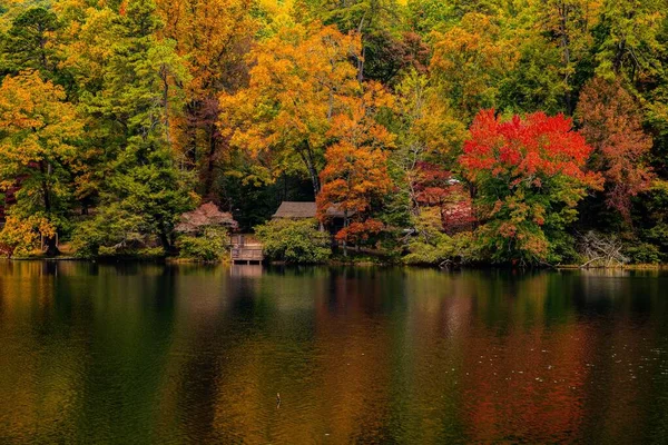 Landscape Beautiful Fall Foliage Mountain Side Reflecting Lake Water Wooden — Stock Photo, Image