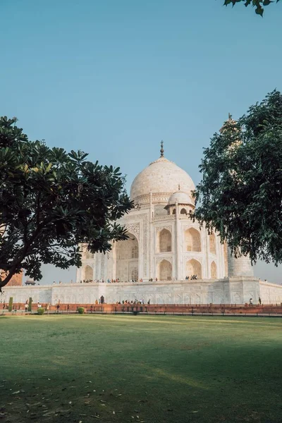 Uma Vista Livre Taj Mahal Entre Árvores Agra Índia — Fotografia de Stock