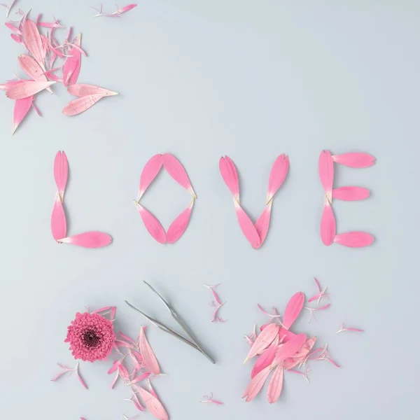Beyaz Arka Planda Pembe Çiçek Yapraklarından Yapılmış Aşk Kelimesi Sevgililer — Stok fotoğraf