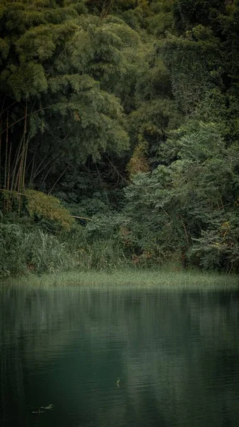 哥斯达黎加圣卡洛斯Arenal湖的一条垂直线 — 图库照片