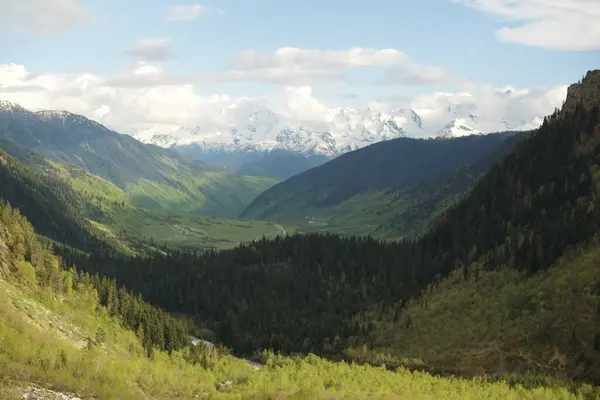 stock image A scenic view of grassland and trees on a mountain valley under a cloudy sky