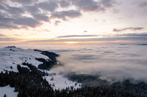 雲の中の雪の山の上の森の絵のショット — ストック写真