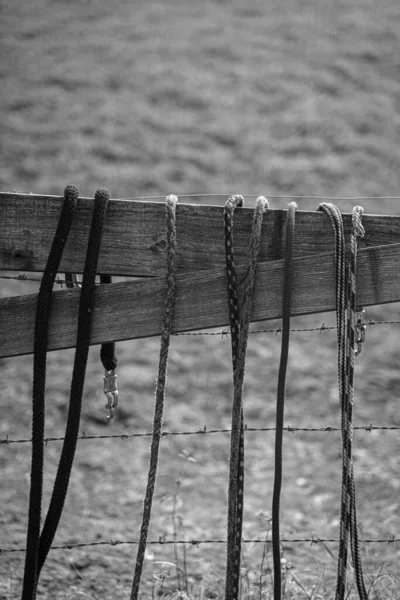 Eine Vertikale Graustufenaufnahme Von Seilen Die Einem Scheunenzaun Hängen — Stockfoto