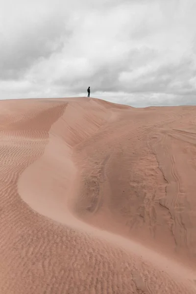 Чудова Сцена Піщаними Дюнами Мелеона Рабджерга Горизонті Скагені Данія — стокове фото